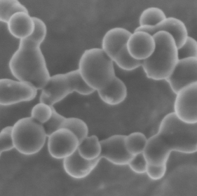 Süper performanslı piller kullanarak silikon nanopartiküller