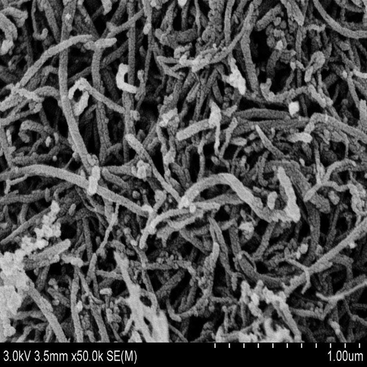 Çok Duvarlı Karbon Nanotüplerin Yüzey İşlevselleştirilmesi ve Uygulamaları