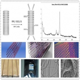 karbon nanotüpler (cnts)