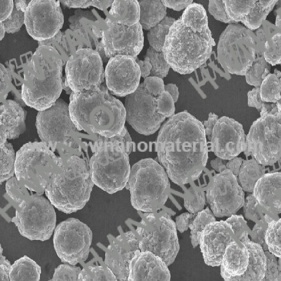 antibiyoz oksidasyon direnci gümüş gümüş nanopartiküller