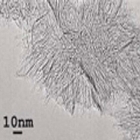 biyosensörler kullanılan swnh silngle duvarlı karbon nanohorns