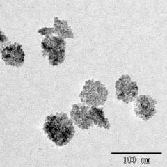 Photocatalytic TiO2 Nanoparticles