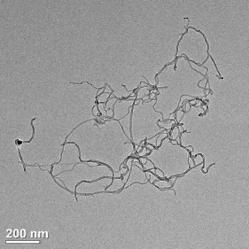 siyah tek duvarlı karbon nanotüpler, şeffaf iletken film için swcnts kullanılır