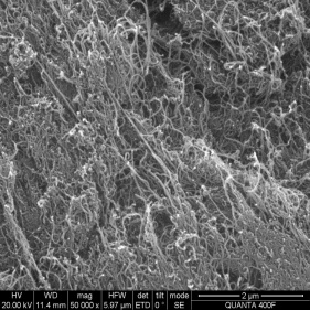 Süper yüksek mukavemetli lifler olarak kullanılan karbon nanotüpler