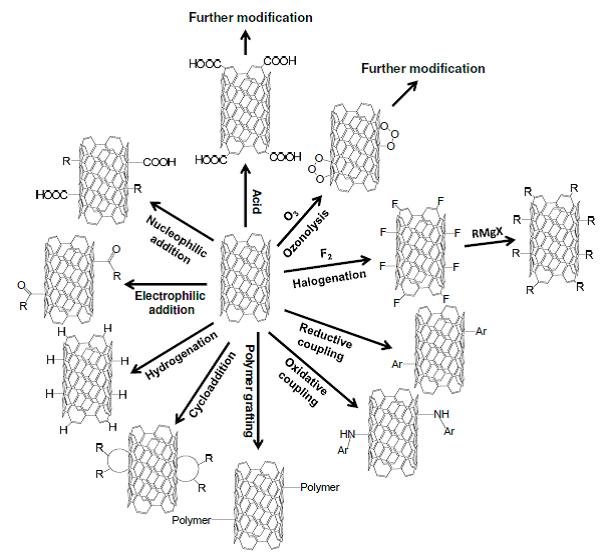 karbon nanotüpler (cnts) yüzeyinde fonksiyonel modifikasyon