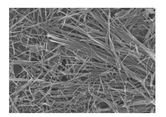 Nano Vanadyum Dioksit Malzemeleri: Monoklinik Parçacıklar, W-Katkılı ve Nanoteller için Kapsamlı Bir Kılavuz