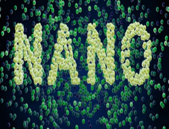 Nanopartiküller nedir?