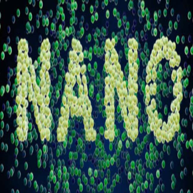yaşamda her yerde nanopartiküller ve nanopowder'ler